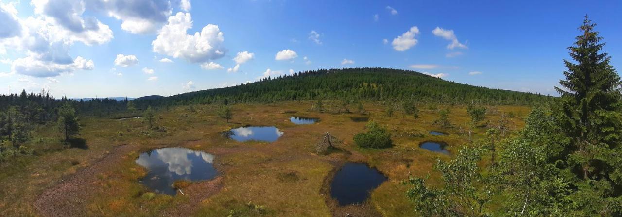 Penzion Jizerska Malina เบดริคอฟ ภายนอก รูปภาพ